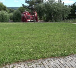 Schwetzinger Terrasse