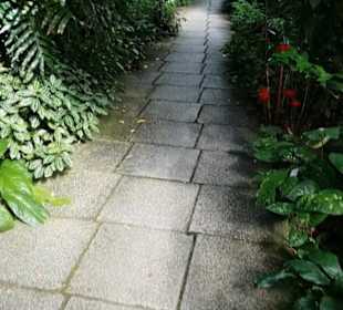 Botanischer Garten