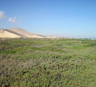 Salzlandschaft und Düne bei Risco del Paso