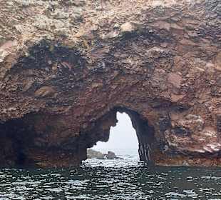 Ausflug Ballestas Inseln