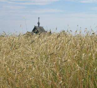 Insel Kischi (Onegasee)