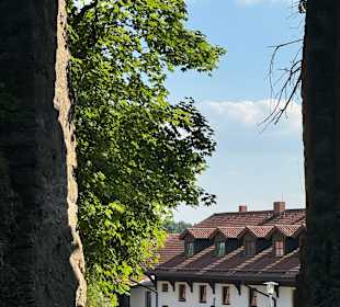 Burgruine Weissenstein