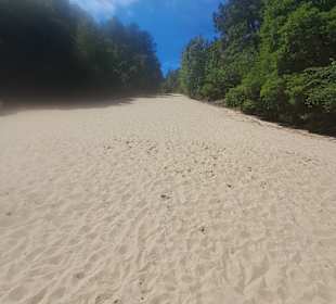 Kletterdüne Het Klimduin in Schoorl