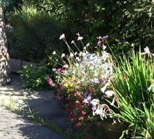 Historische Häuser der ehemaligen Gärtnerei