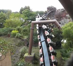 Deep in Africa - Black Mamba