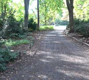 Englischer Garten