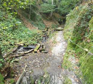 Wege durch die Klamm