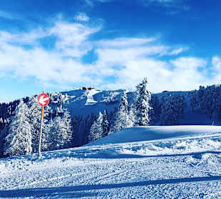 Wandern Hermagor - Pressegger See