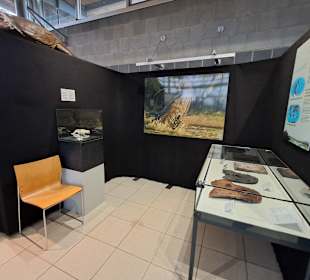 Geoskop in Thallichtenberg