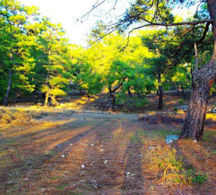 Sulahikulle - Vergessene Stadt