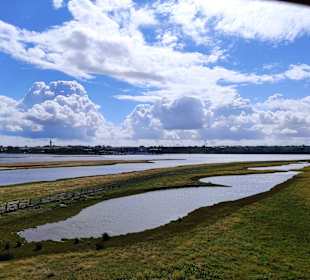 Naturschutzgebiet Graswarder