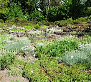 Spaziergang durch den Botanischen Garten Bremen