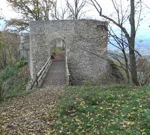Ruine Rauber 