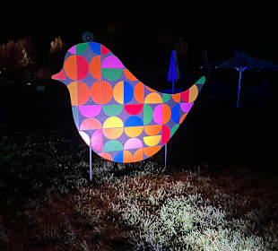 Herbstlichter Brückenkopfpark