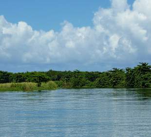 Tropical River Tour  – Oktober 2014