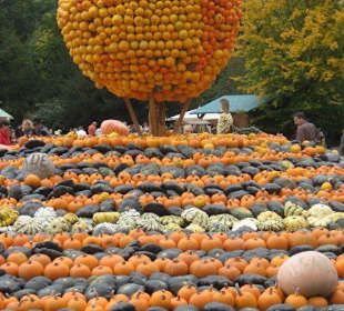 Sonnensystem in der Kürbisausstellung