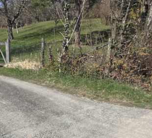 HAP Grieshaber Rundweg