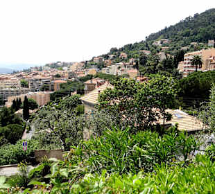 Грасс с высоты сада Полины