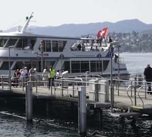 Zürichsee