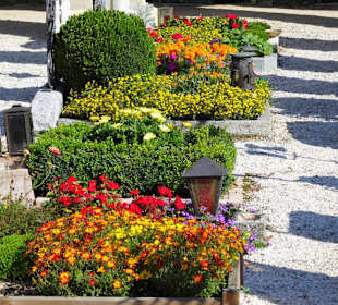 Bepflanzte Gräber des Stadtfriedhofes