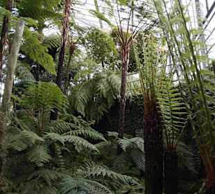 Anlage Planten un Blomen