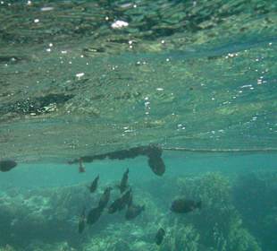 Sharm el Naga