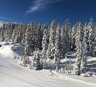 Skigebiet Schladming