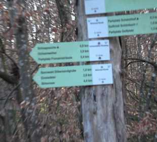 Wanderung rund um den Ochsenweiher