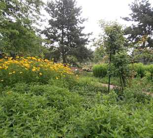 Rosenfest im Westfalenpark in Dortmund