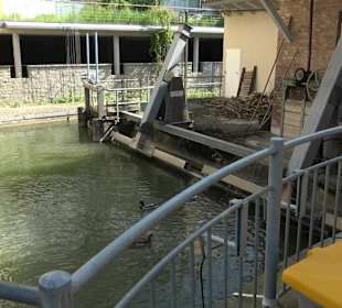 Stauwehr Flößerwasen