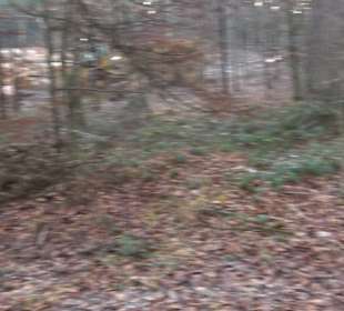 Steinbruch Bezenberg