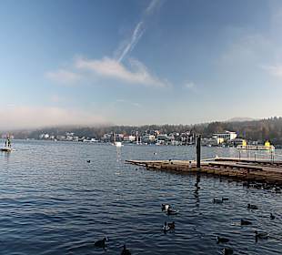 Am Ufer in Velden