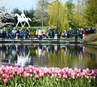 Blumenpracht im Keukenhof