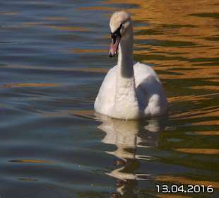 Discovery Park Manavgat