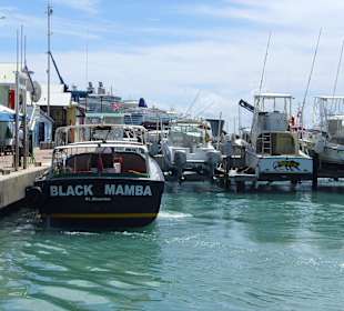 Hier kommen Passagiere der Kreuzfahrtschiffe an