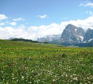 Blütenwanderung auf der Seiser Alm