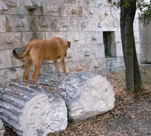 Nel parco del Partenone