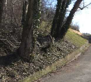 Weinerlebnisweg