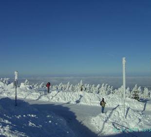 Auf dem Brocken