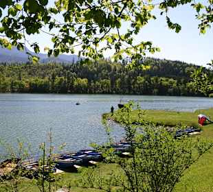 Sonnenschein am Reintaler