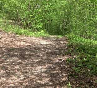Wandertour durchs Reissenbachtal Oberhausen