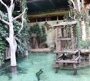 Tropen Aquarium Hagenbeck