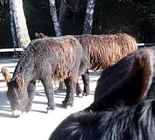 ImpressionOstern2013