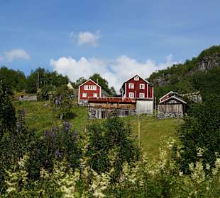 Vettis gård - Berghof am Weg zum Vettisfossen