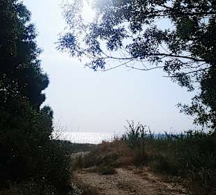 Sonstiges