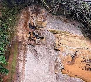 Elephant Mountain Xiangshan Hiking Trail