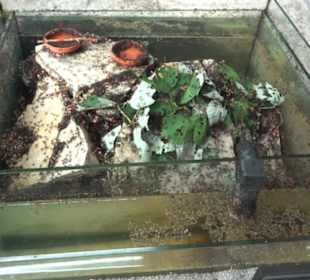 Aquarium