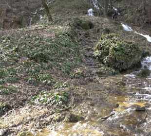 Bad Uracher Wasserfall