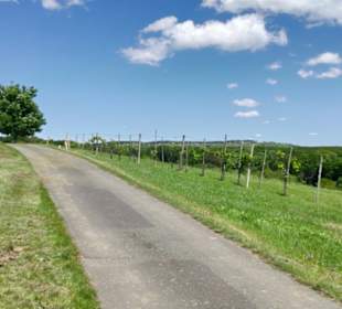 Weg Hoch Csaterberg