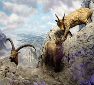 Dioramen in der Tibet-Abteilung